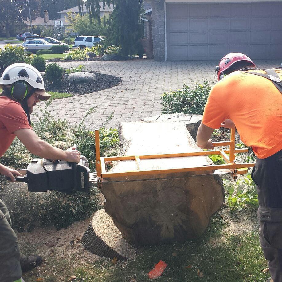 Crew using an Alaskan-style chainsaw mill to slab a large hardwood trunk into live-edge sections after a residential tree removal
