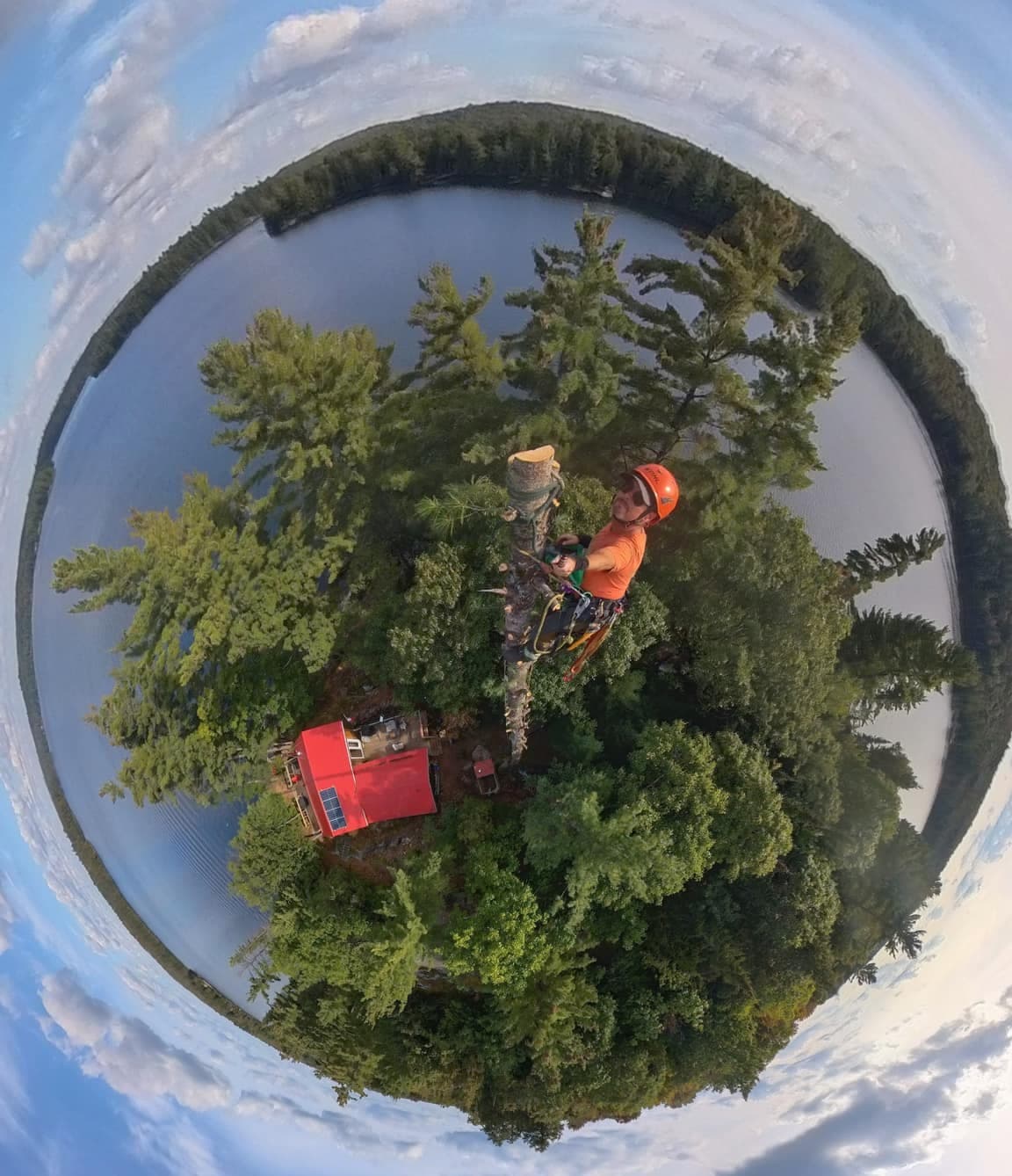 Arborist climber secured with spurs and flipline, topping a lakeside conifer during sectional removal (360° tiny-planet view)