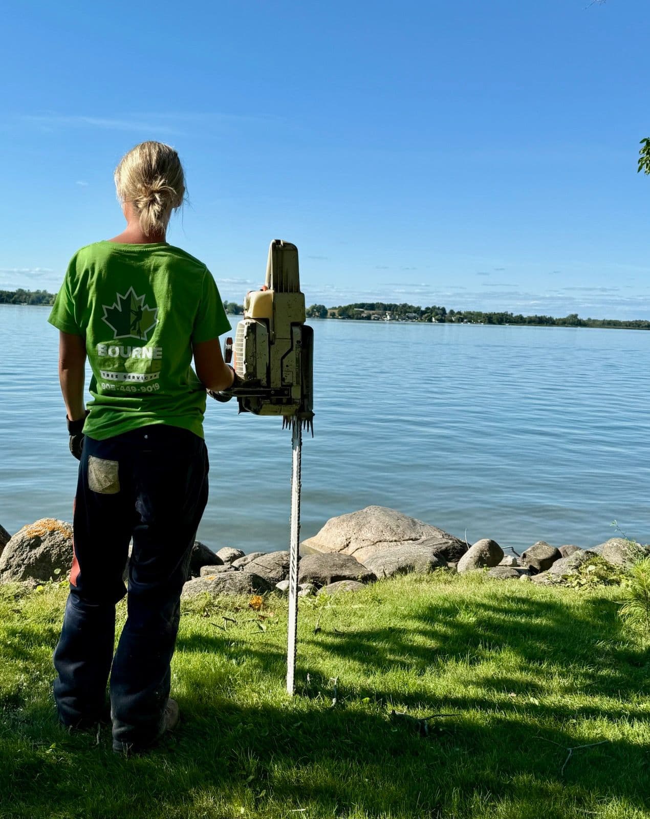 Detailed view of a clean stump grind flush with the lawn